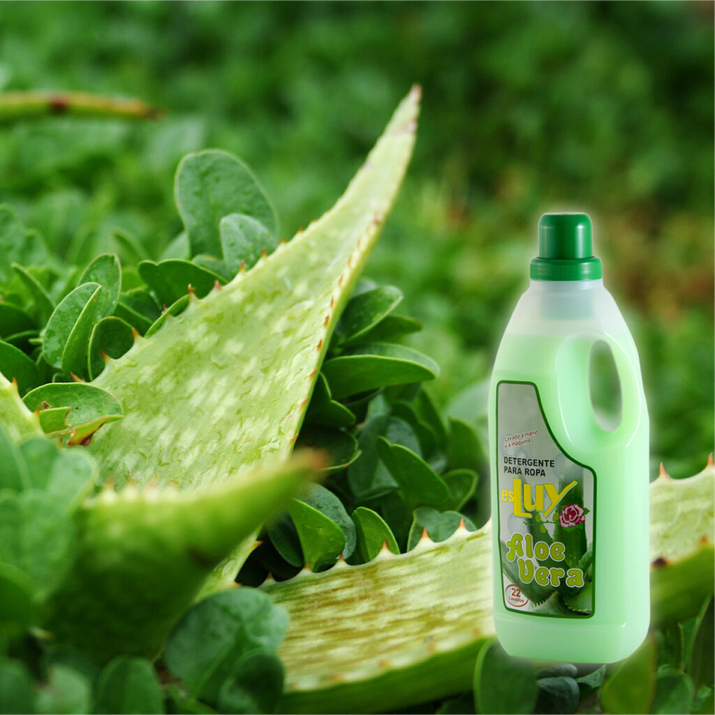 Aloe vera Drogueria online 18-07-2017